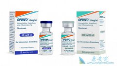 ȫ׸PD-1ƼOpdivoŷ֣αֵģ
