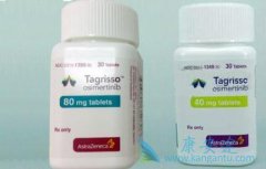 ϣ(Osimertinib)ܷȡһEGFR TKIsΪһҩ