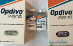 䵥(opdivo)Ϊҹΰߴõ