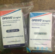 䵥(nivolumab)ΰҩʱӼԷ׷