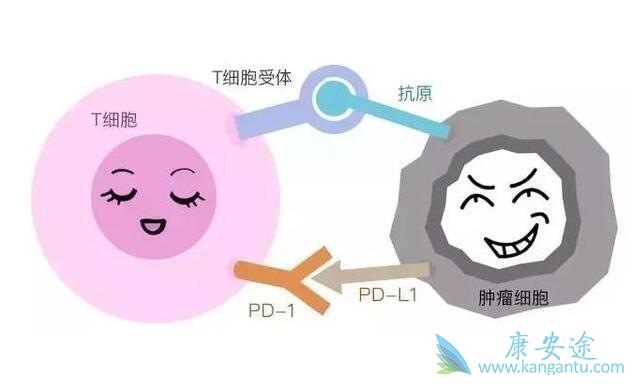 PD1