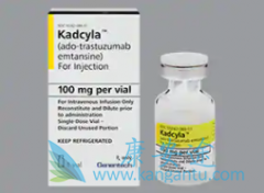 T-DM1(Ado-trastuzumab)HER2ٰкζ֮