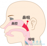 鵥(Nimotuzumab)ڱʰĸ