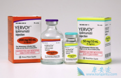 CTLA-4ƼYervoyIpilimumabư֢û