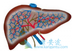 没有接种丙肝疫苗日常生活中该怎么与丙型肝炎患者相处