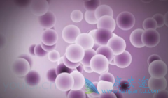 (bevacizumab)ϻƿɴٻ߼չ