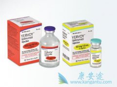 ƥľ(Yervoy)ûƼӦ