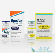 PD-1OpdivoYervoyһЧô