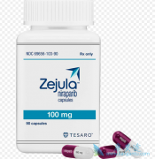 ѳ߷(Zejula)ǰҪ