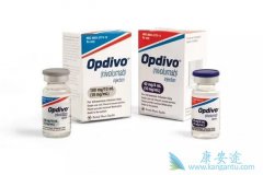 йҩƷල׼Щ߿ʹopdivo(䵥)