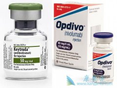 Opdivo(ŷ)ĸҩط