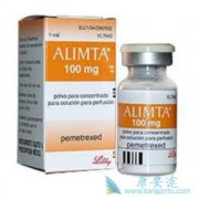 鵥Ψһ(Alimta)ʹõĿPD-1Ʒ
