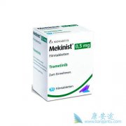 (MEKINIST)ʹþע