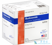 ε(Budesonide)ҺΪϸ֢ṩһƷ