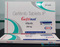 ӻΰҩɳ(GEFITINIB)ҩ