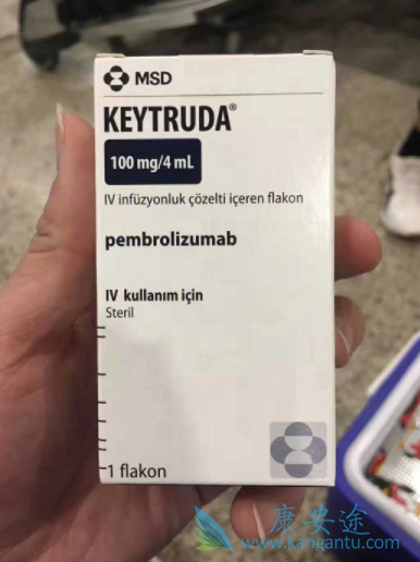 ķ