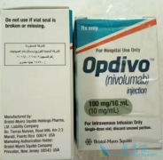 䵥(Opdivo)·ƤЧô