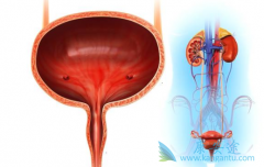ưװҩpembrolizumab