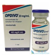 䵥(nivolumab)ƸΰЧΣЩã