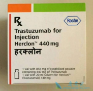 ٰԤ鵥(Herceptin)Ч