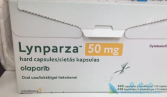 ΪBRCA1ȱݵĻ߸ܴӰ(BRCA1)л棿