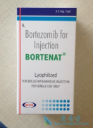 (BORTENT)ΪƷɸϸܰԤ