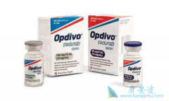 ȵעҺ(Nivolumab)ָƼڷΰߵĶҩ