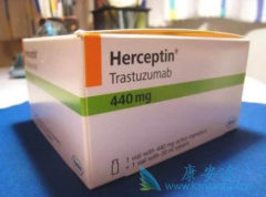 HER-2СҪܺ͡(herceptin)