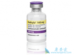 T-DM1KadcylaƺɫߵЧô