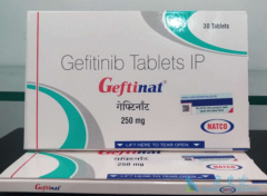 ӡɳ(GEFINAT)ٰ