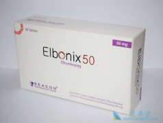 Լ۱ȵϼ(Elbonix)