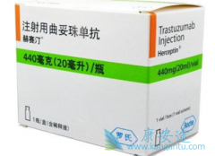 鵥(trastuzumab)඾ԵΣ