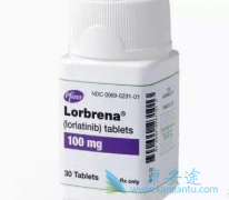ALKΰӭһALKƼ(Lorlatinib)
