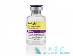 ٰҩKadcyla(T-DM1)ʺ