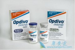 䵥(OPDIVO)ٴӦ÷淽