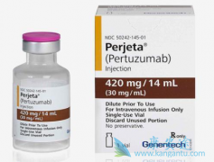 ĸʱڵٰ߶鵥(pertuzumab)
