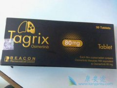 ̩ɳ(Tagrix)ҩڼ˽ע