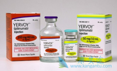 ƥ(Yervoy)볣濹ҩʲôһ