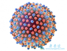 丙肝病毒怎么传播？常见的丙肝传播途径有哪些？