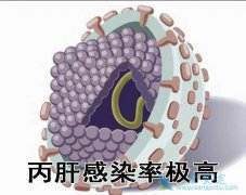 丙肝怎么传染的？丙肝病毒主要传播途径有哪些？