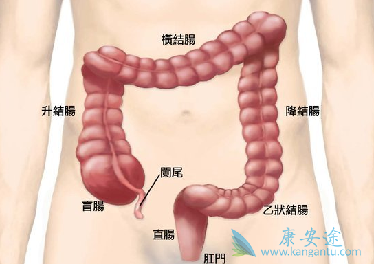 ��ֱ����