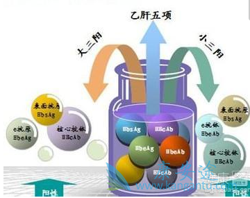 乙肝大三阳