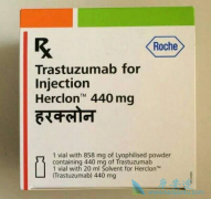 鵥(Herceptin)ҩ