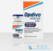 ͷ۰ʹƷopdivo