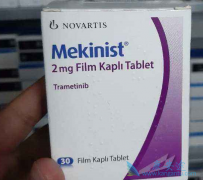(MEKINIST)ʲô