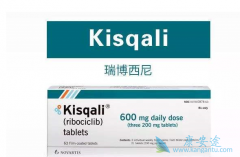 (Kisqali)