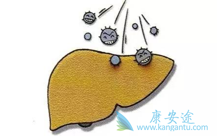 丙肝病毒