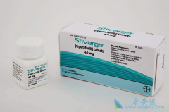 ƬֳStivarga Ƭ˵