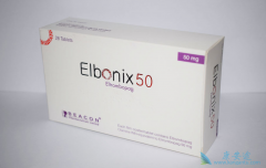 ͬŵİ/ElbonixΪʲôӡȻ˺ܶࣿ