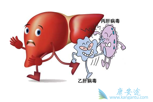 丙肝病毒
